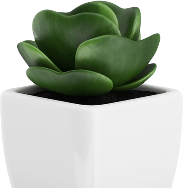 home-cta-flower-pot_optimized