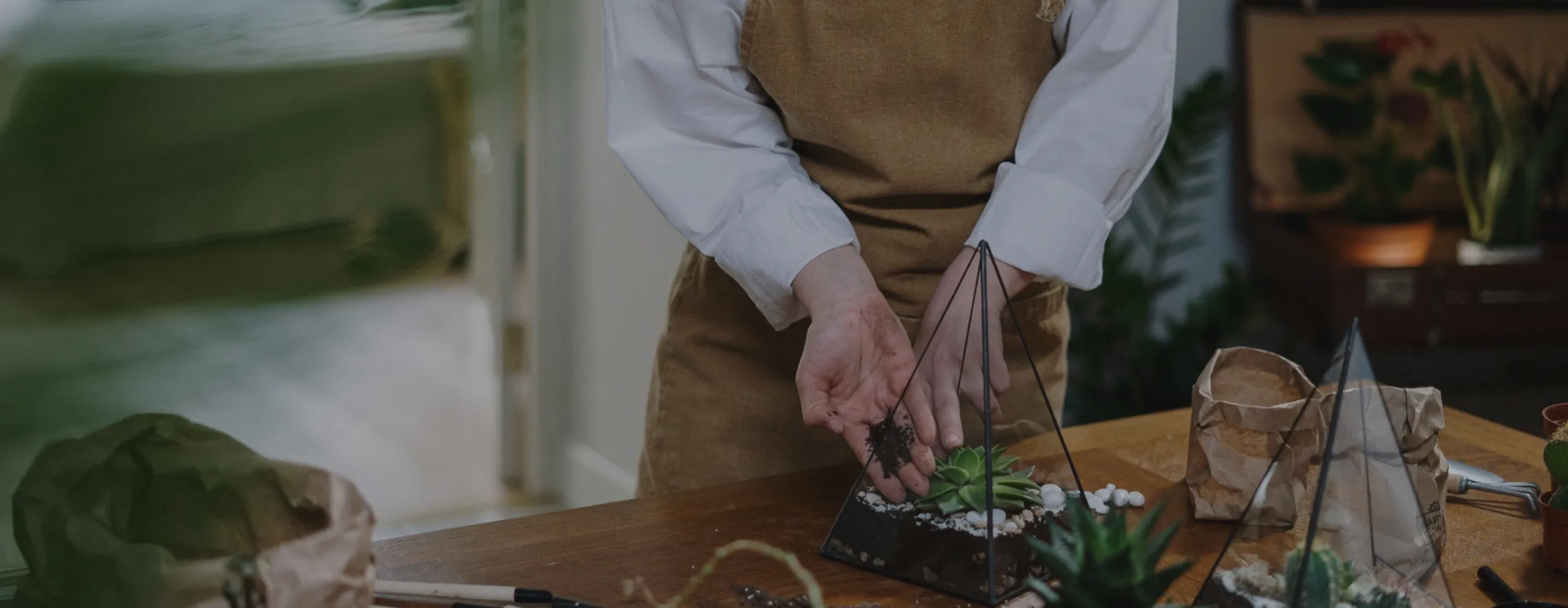 video-cover-image_optimized