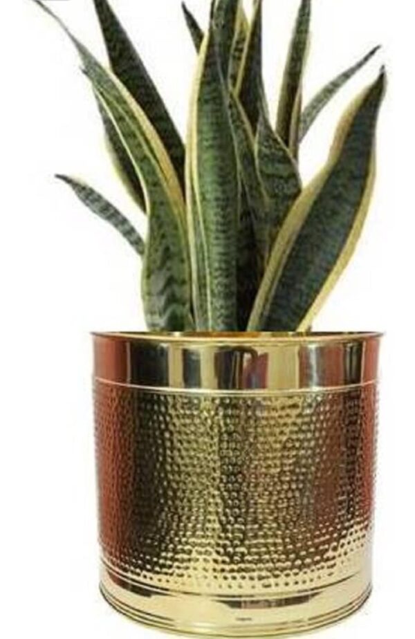 Hammered Design Brass Planter/Plant Container with Lacquer Finish- (Size: Dia- 12 x Height- 11 inches) Plant Container Set  (Metal) - Image 5